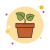 Potted Bathroom Plants From Sansar Green