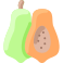 Best Organic Papaya Fertilizer From Sansar Green