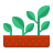 Best Rubber Plant Organic Fertilizer From Sansar Green