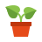 Best Cycas Plant Organic Fertilizer From Sansar Green